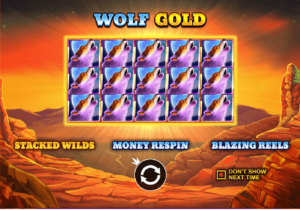 Wolf Gold 1 Willkommen